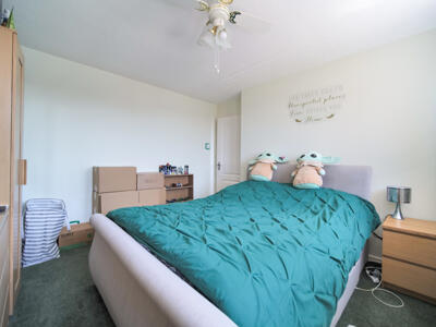 Picture 9